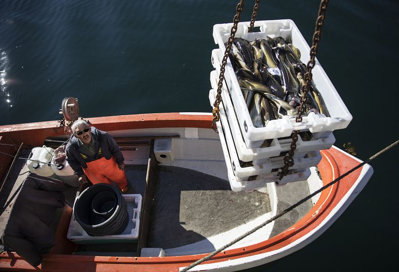 Johannes Heilmann, 69 ans, regarde sa prise du jour être remontée de son bateau après avoir pêché la morue au large de Nuuk, au Groenland, le mercredi 2 août 2017.  