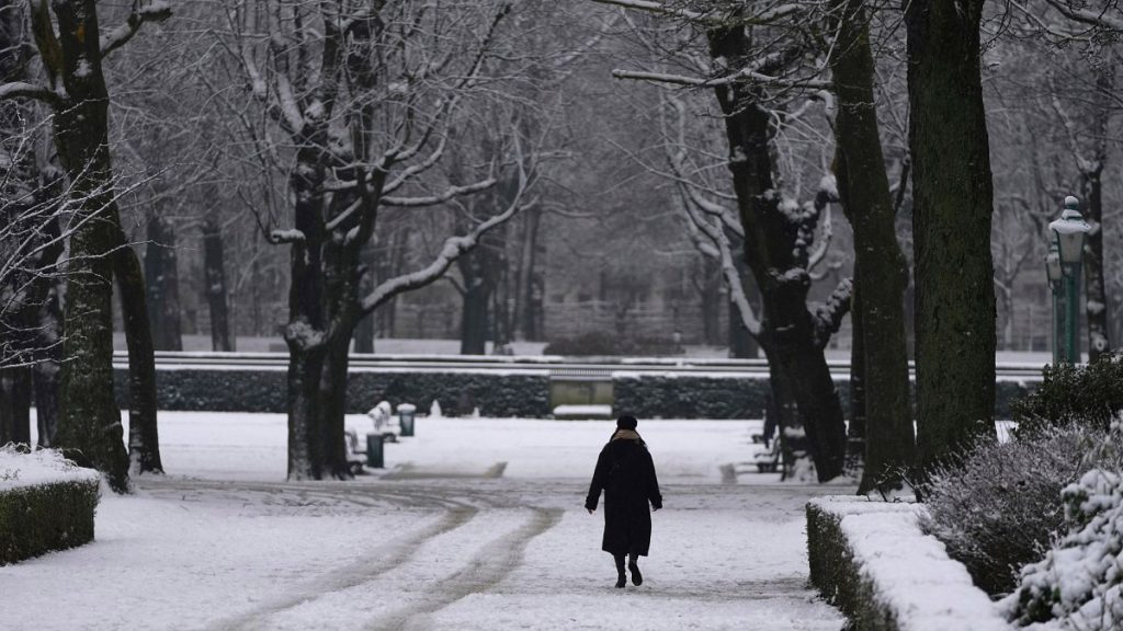 A woman walks in the park after early morning snow fell in the center of Brussels.