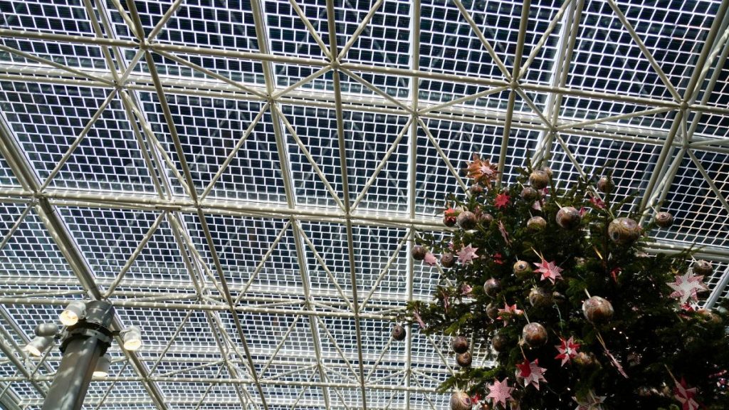 The Vatican aided the renewables revolution last year, with a new photovoltaic glass roof at the entrance to the Vatican Museums, pictured 20 December 2024.