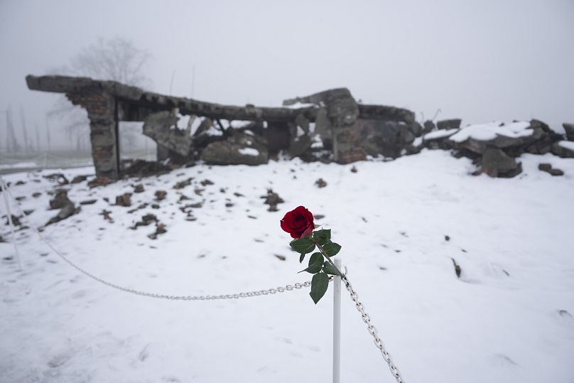 Une rose laissée par un visiteur est accrochée à un maillon de chaîne à côté des ruines d'une chambre à gaz et d'un crématorium à Auschwitz, le 23 janvier 2025.