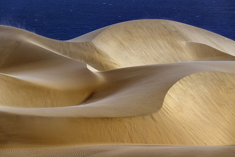 The sand dunes of Namibia captured in amazing clarity by this young photographer.