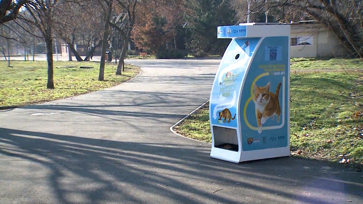 Aidez les chats et l'environnement avec les nouveaux distributeurs automatiques de Bucarest