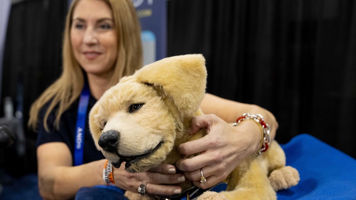 Jennie, a robotic dog for people who can not have a real pet, gets a scratch during 2025 CES Unveiled, Sunday, Jan. 5, 2025, in Las Vegas.