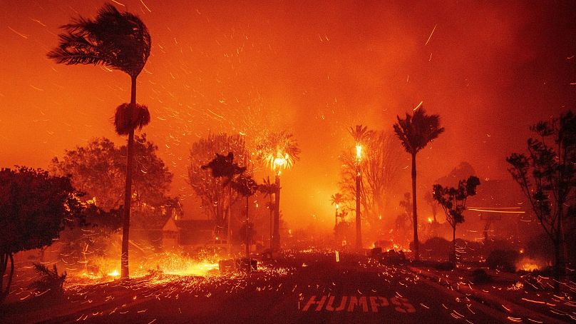 L'incendie de Palisades ravage un quartier au milieu de vents violents dans le quartier de Pacific Palisades à Los Angeles, le 7 janvier 2025.