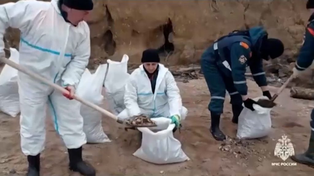 Cleaning efforts on the coast of Kerch, Russian-occupied Crimea in Ukraine, January 1st 2024