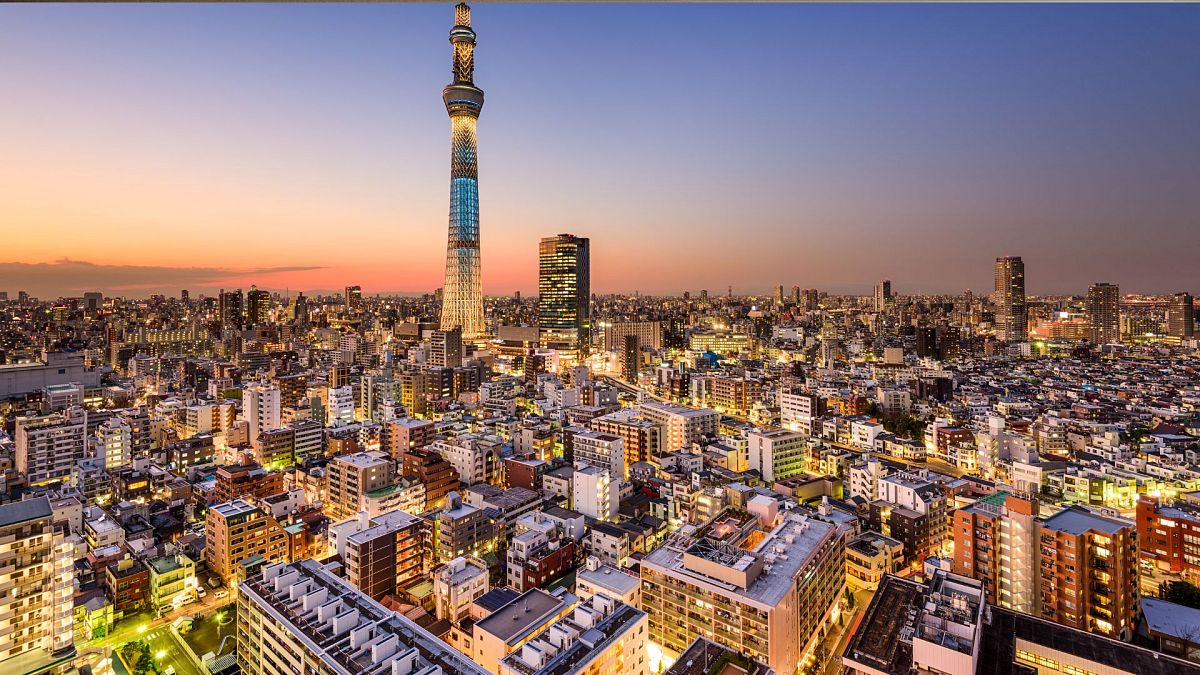 Aerial view of Tokyo, the capital of Japan