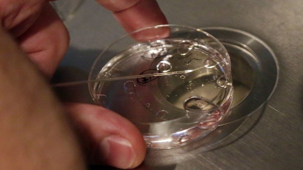 Poland welcomes first child born after IVF policy change.