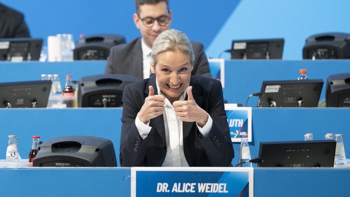 AfD national chairwoman Alice Weidel gestures as she takes part in her party