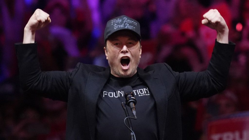 FILE - Elon Musk speaks before Republican presidential nominee former President Donald Trump at a campaign rally at Madison Square Garden on Oct. 27, 2024, in New York.