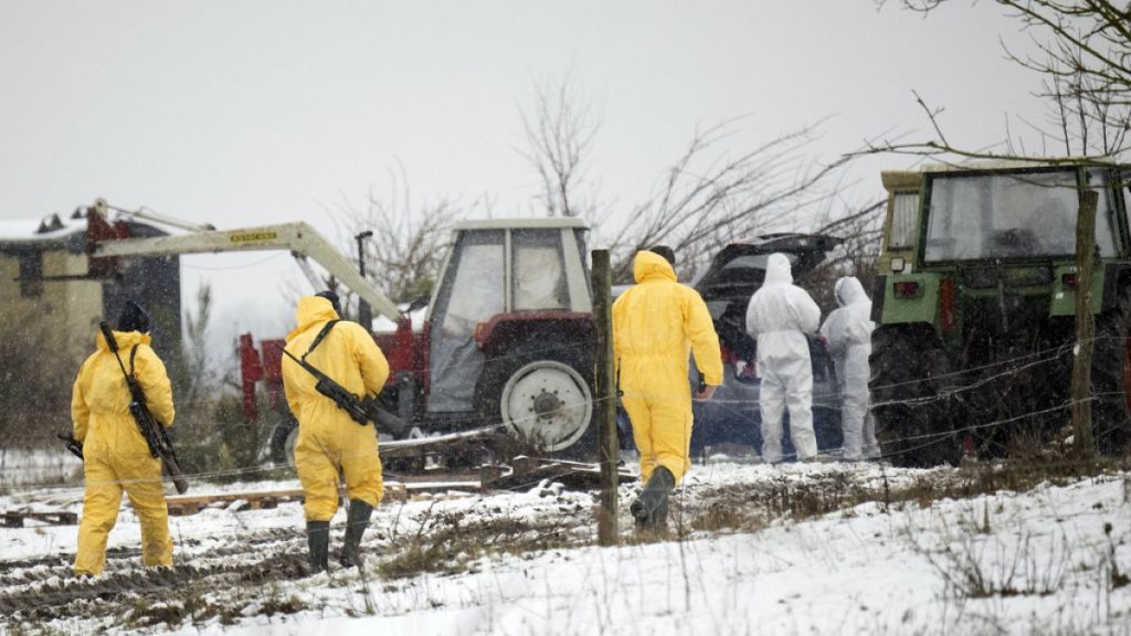 Armed officials in protective clothing walk through a farm in Hoppegarten, Germany, Friday Jan 10, 2025. (Sebastian Gollnow/dpa via AP)