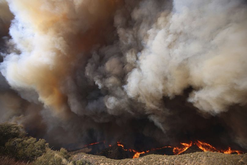 Des panaches de fumée s'élèvent alors que l'incendie de Hughes brûle à Castaic, en Californie, le mercredi 22 janvier 2025.