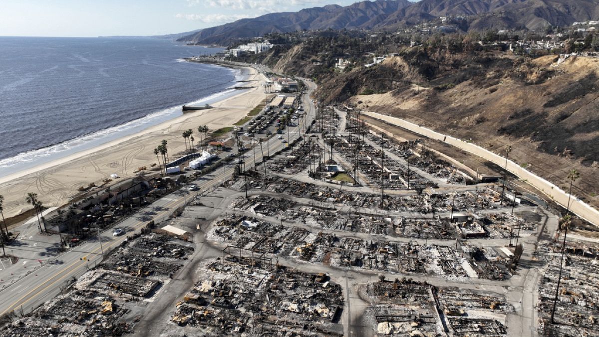 32 researchers from around the world looked at what caused LA’s worst ever wildfires.