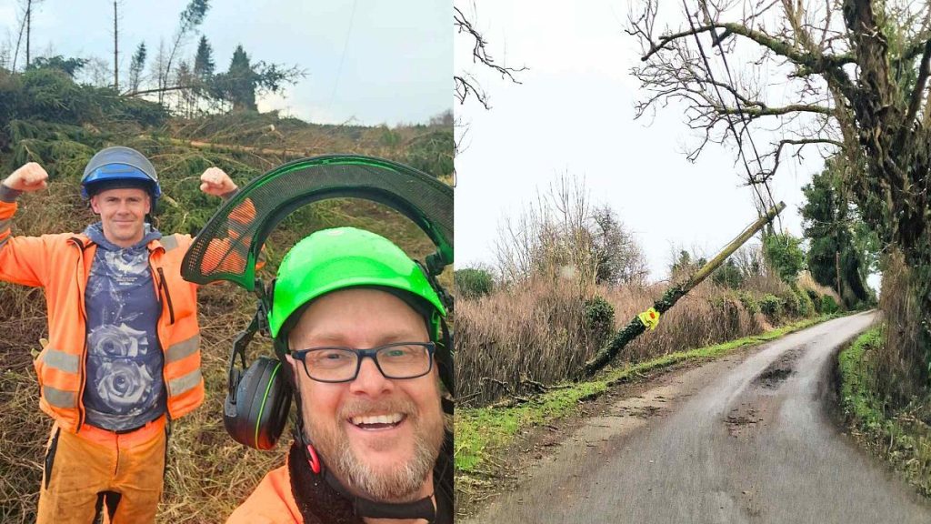 Europe’s tree surgeons pull together to restore electricity after Storm Eowyn