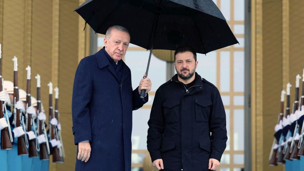 Turkish President Recep Tayyip Erdogan and Ukrainian President Volodymyr Zelenskyy meet at the presidential palace in Ankara.